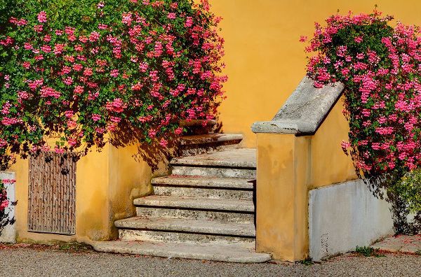 Eggers, Julie 아티스트의 Italy-Tuscany Stairs covered in flowers작품입니다.